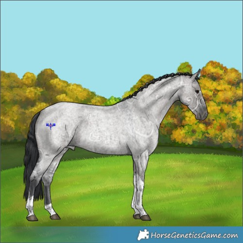 Horse Color:Grullo Ice Roan Tobiano 