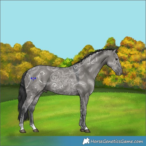 Horse Color:Grullo Ice 
