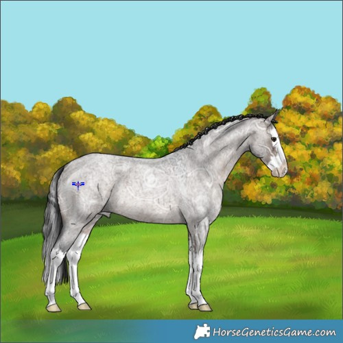 Horse Color:Brown Ice Roan Dun Splash 