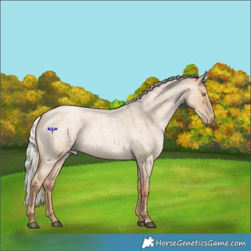 Horse Color:Silver Grullo Roan Pearl 