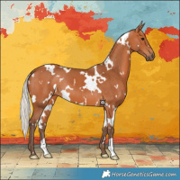 Horse Color:White Spotted Silver Bay 