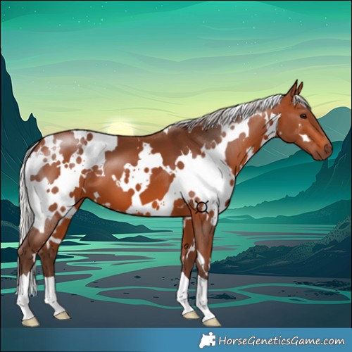 Horse Color:White Spotted Silver Brown