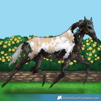 Horse Color:White Spotted Silver Bay Dun 