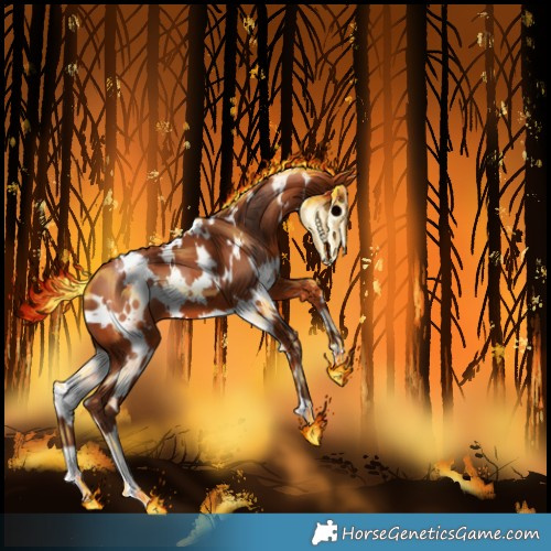 Horse Color:White Spotted Silver Bay 