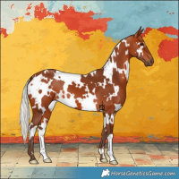 Horse Color:White Spotted Silver Bay 
