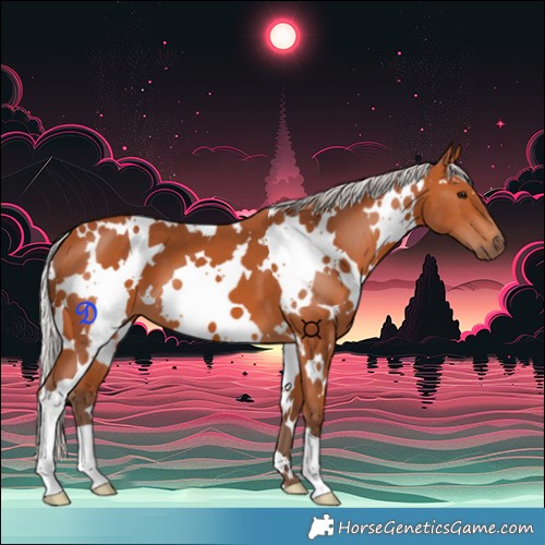Horse Color:White Spotted Silver Bay
