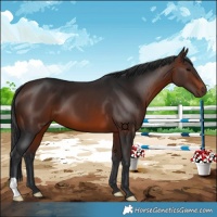 Horse Color:Brown 