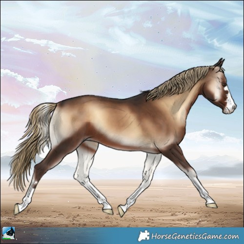 Horse Color:Liver Red Onyx 