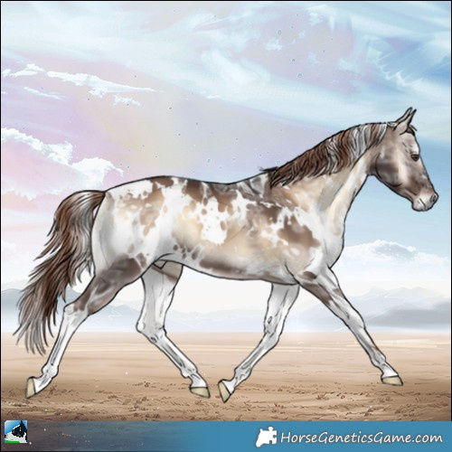 Horse Color:White Spotted Liver Red Onyx Ice 