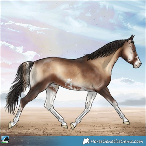 Horse Color:Liver Red Onyx 