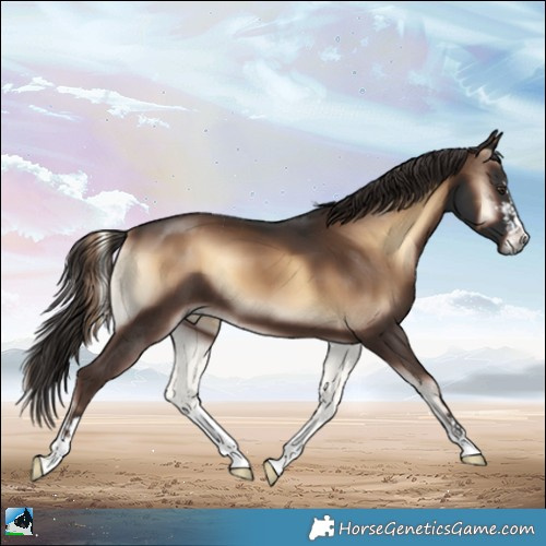 Horse Color:Liver Red Onyx 