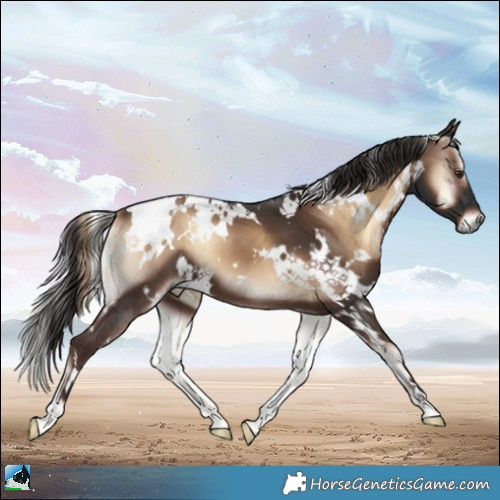 Horse Color:White Spotted Liver Red Onyx 