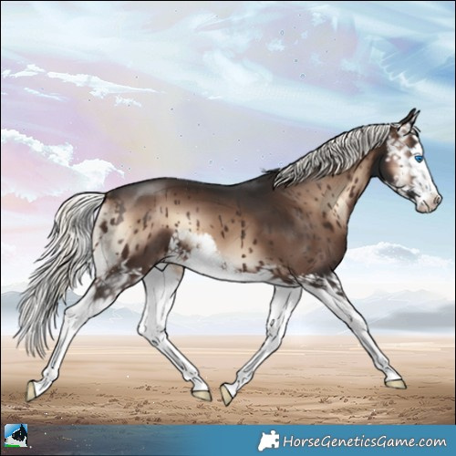 Horse Color:Liver Red Onyx Mushroom Splash 