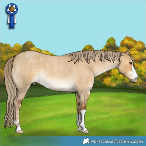 Horse Color:Chocolate Palomino Roan Dun 