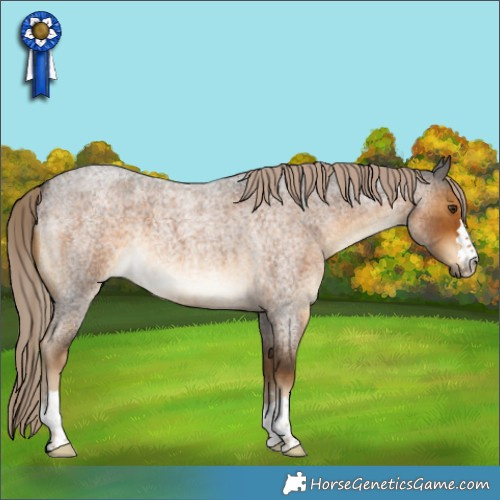 Horse Color:Chocolate Palomino Roan 