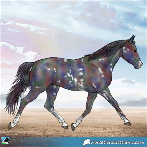 Horse Color:Nacre White Spotted Black Mushroom Sabino Rabicano 