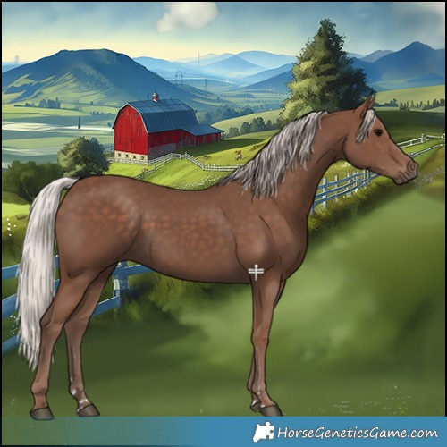 Horse Color:Silver Black 