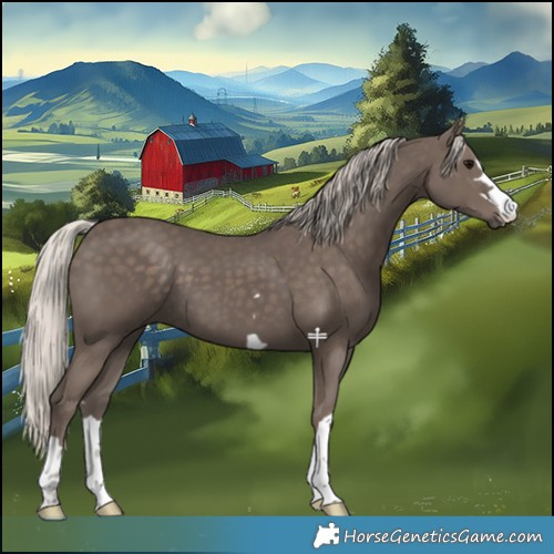 Horse Color:Silver Black 