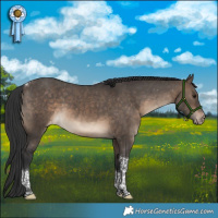 Horse Color:Brown Dun Tobiano Varnish 
