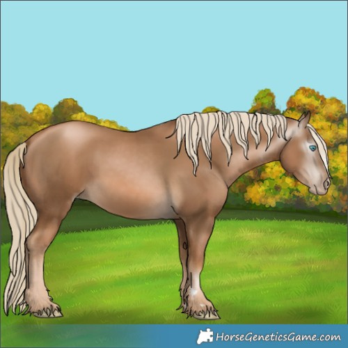 Horse Color:Gray Chocolate Palomino Pearl 