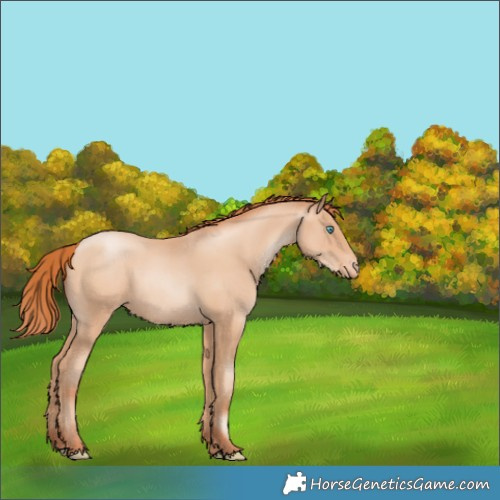 Horse Color:Sable Champagne Pearl Varnish 