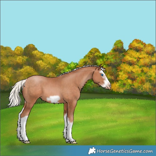 Horse Color:Silver Bay Pearl Splash Frame Varnish 