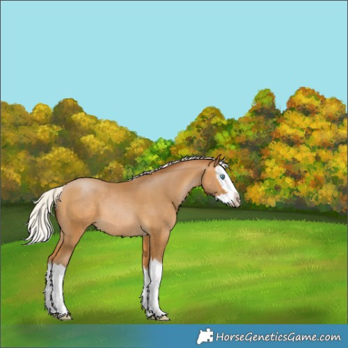 Horse Color:Gray Silver Buckskin Pearl Splash Varnish 