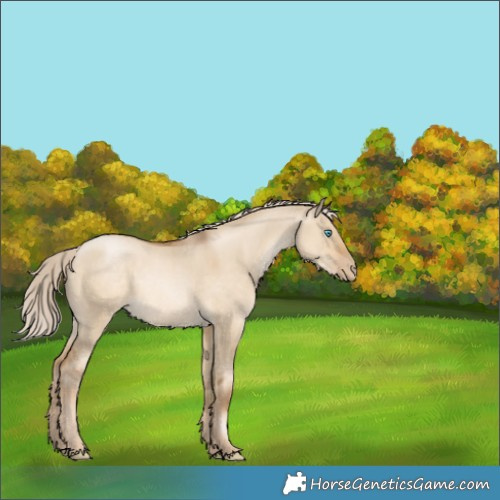 Horse Color:Chocolate Palomino Pearl Dun 