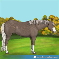 Horse Color:Silver Black 