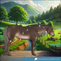 Horse Color:White Spotted Liver Chestnut Mushroom Rabicano 