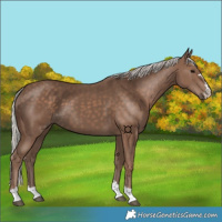 Horse Color:Silver Black 