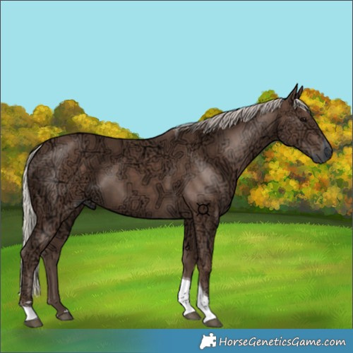 Horse Color:Silver Black Ice Tobiano 