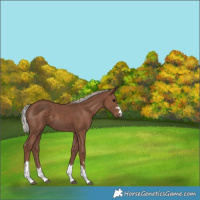 Horse Color:Silver Black 