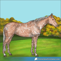 Horse Color:White Spotted Silver Bay Ice