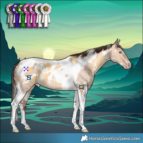Horse Color:White Spotted Silver Amber Cream Champagne Tobiano  and White Spotted Amber Champagne Dun Tobiano 