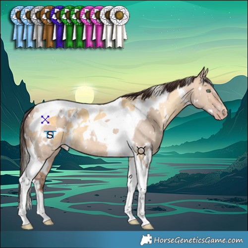 Horse Color:White Spotted Silver Amber Cream Champagne Tobiano and White Spotted Amber Champagne Dun Tobiano