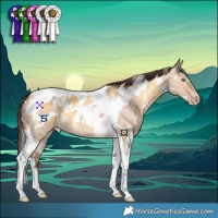 Horse Color:White Spotted Silver Amber Cream Champagne Tobiano and White Spotted Amber Champagne Dun Tobiano
