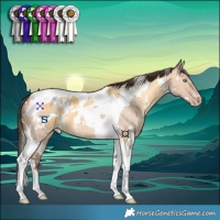 Horse Color:White Spotted Silver Amber Cream Champagne Tobiano and White Spotted Amber Champagne Dun Tobiano
