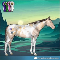 Horse Color:White Spotted Silver Amber Cream Champagne Tobiano and White Spotted Amber Champagne Dun Tobiano