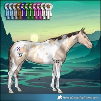 Horse Color:White Spotted Silver Amber Cream Champagne Tobiano  and White Spotted Amber Champagne Dun Tobiano 