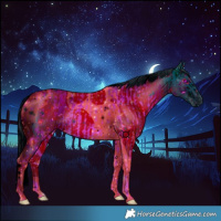 Horse Color:ERROR: UNKNOWN ANOMALY and ERROR: UNKNOWN ANOMALY