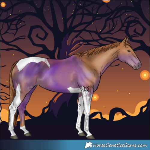 Horse Color:Chestnut Tobiano 