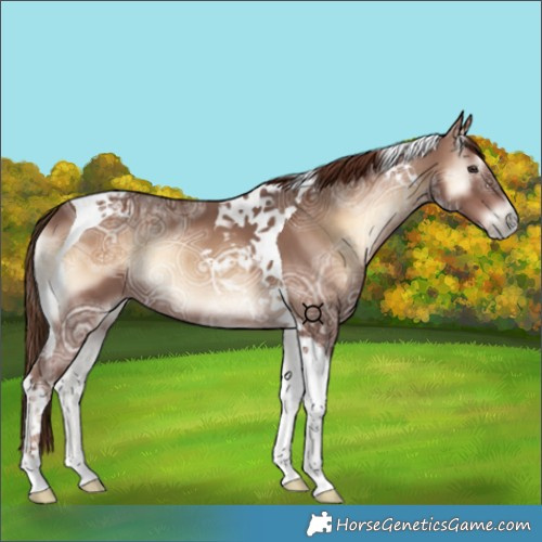 Horse Color:Red Onyx Ice Tobiano 