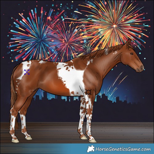 Horse Color:Chestnut Tobiano