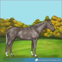 Horse Color:Silver Black Tobiano 