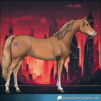 Horse Color:Chestnut Tobiano 