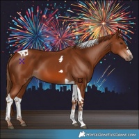 Horse Color:Chestnut Tobiano