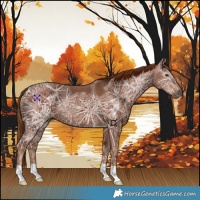 Horse Color:Gray Chestnut Ice 
