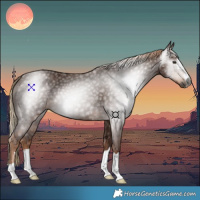 Horse Color:Gray Chestnut