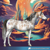 Horse Color:Gray Buckskin Ice Sabino